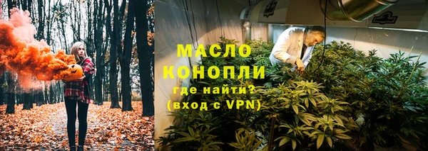 гашиш Богданович
