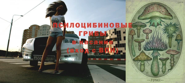 гашиш Богданович