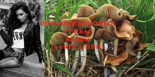 мескалин Богородицк