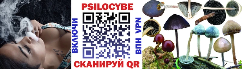 darknet клад Боровичи Псилоцибиновые грибы ЛСД